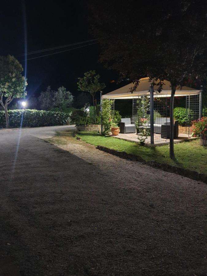 B&B Villa Maria 特尔尼 外观 照片